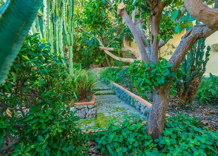 Villa Coste Moragues